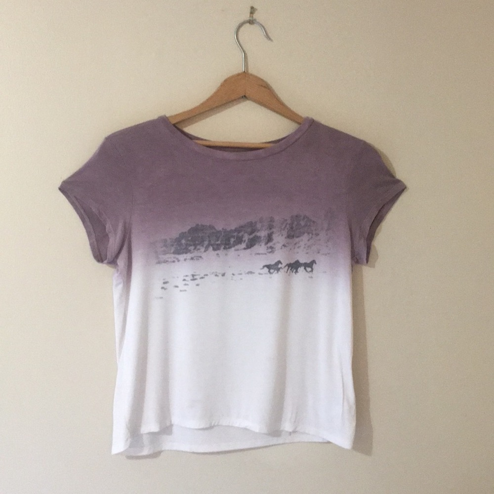 American Eagle Soft & Sexy T in purple ombré